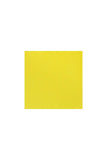 QUADERNO C/SPIRALE A4 ECOQUA QUADRETT. 0.5MM LIMONE