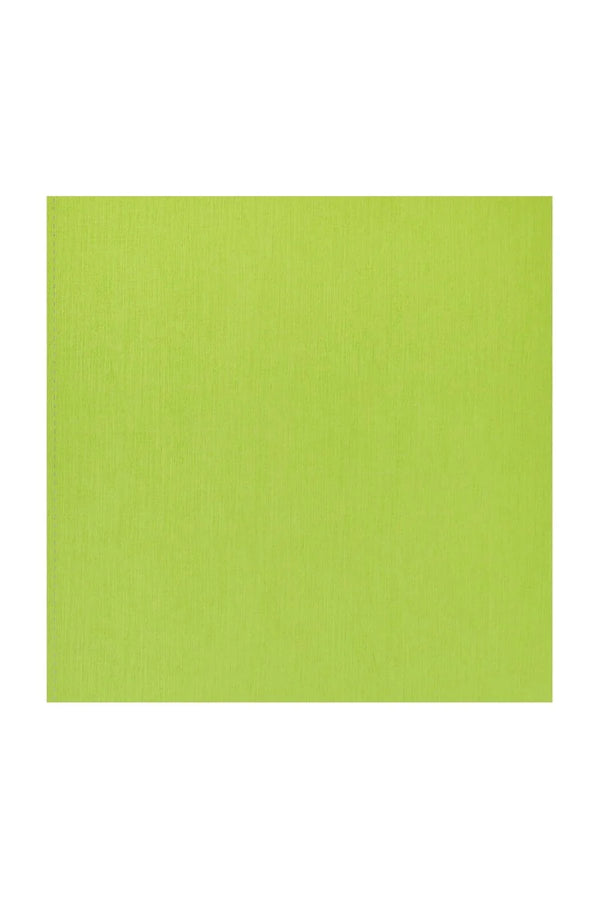 QUADERNO C/SPIRALE A4 ECOQUA QUADRETT. 0.5MM LIME