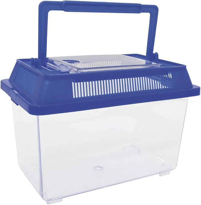 Osserva Gli Insetti - Set 2 Contenitori Cm. 14,4X2