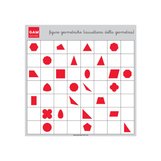 PERCORSO LOGICO-PROCEDURALE DELLE FIGURE GEOMETRICHE PIANE Immagine principale del prodotto