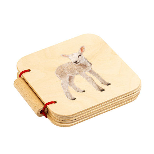 PRE-LIBRO: ANIMALI
