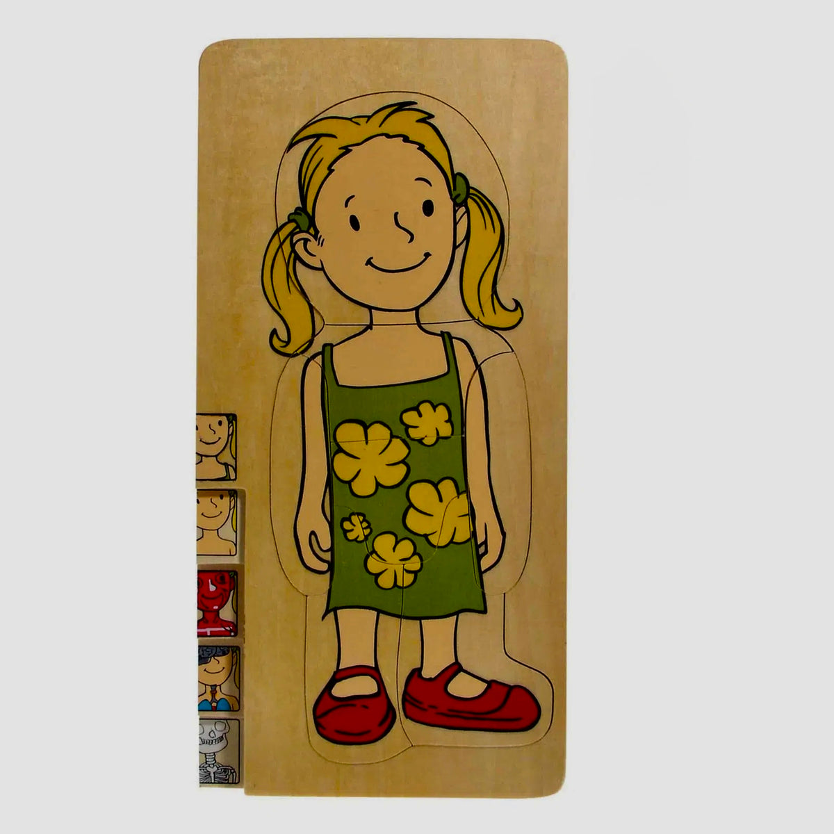 Multi Puzzle Anatomico - Femmina Immagine principale del prodotto