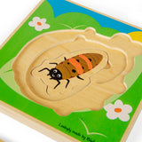 Puzzle A Strati Ciclo Vitale - Coccinella