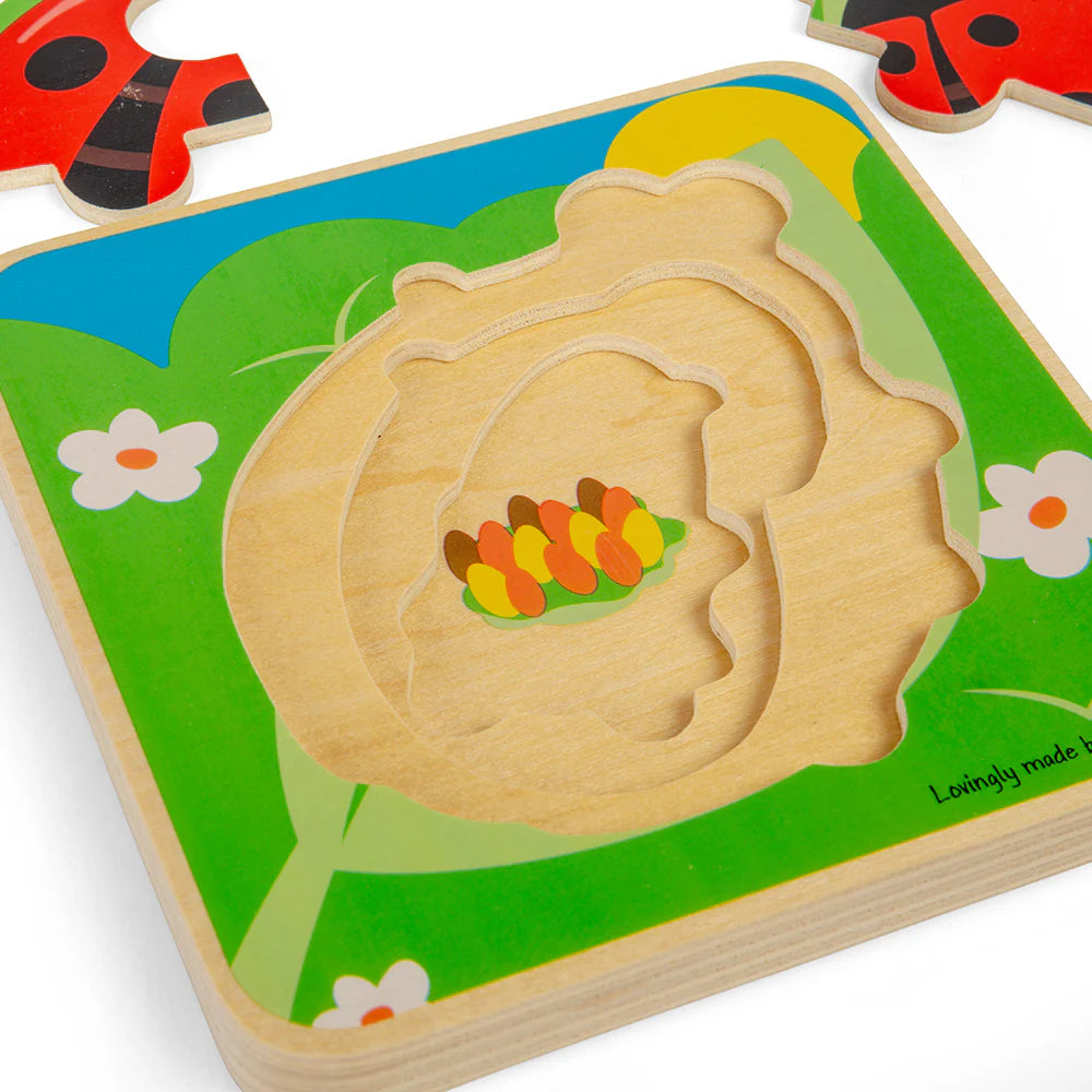 Puzzle A Strati Ciclo Vitale - Coccinella
