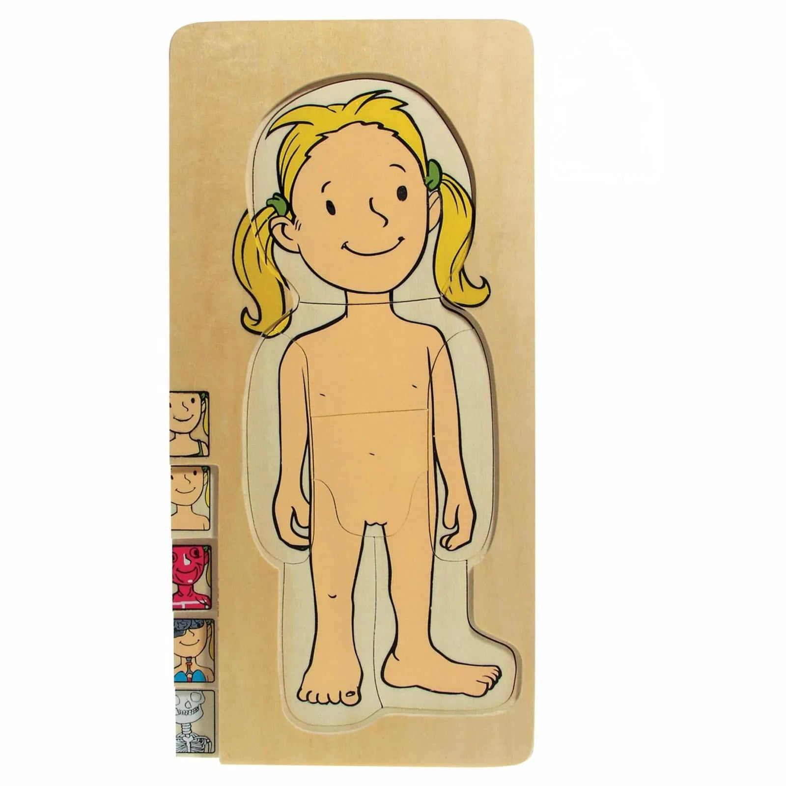 Multi Puzzle Anatomico - Femmina Immagine secondaria del prodotto