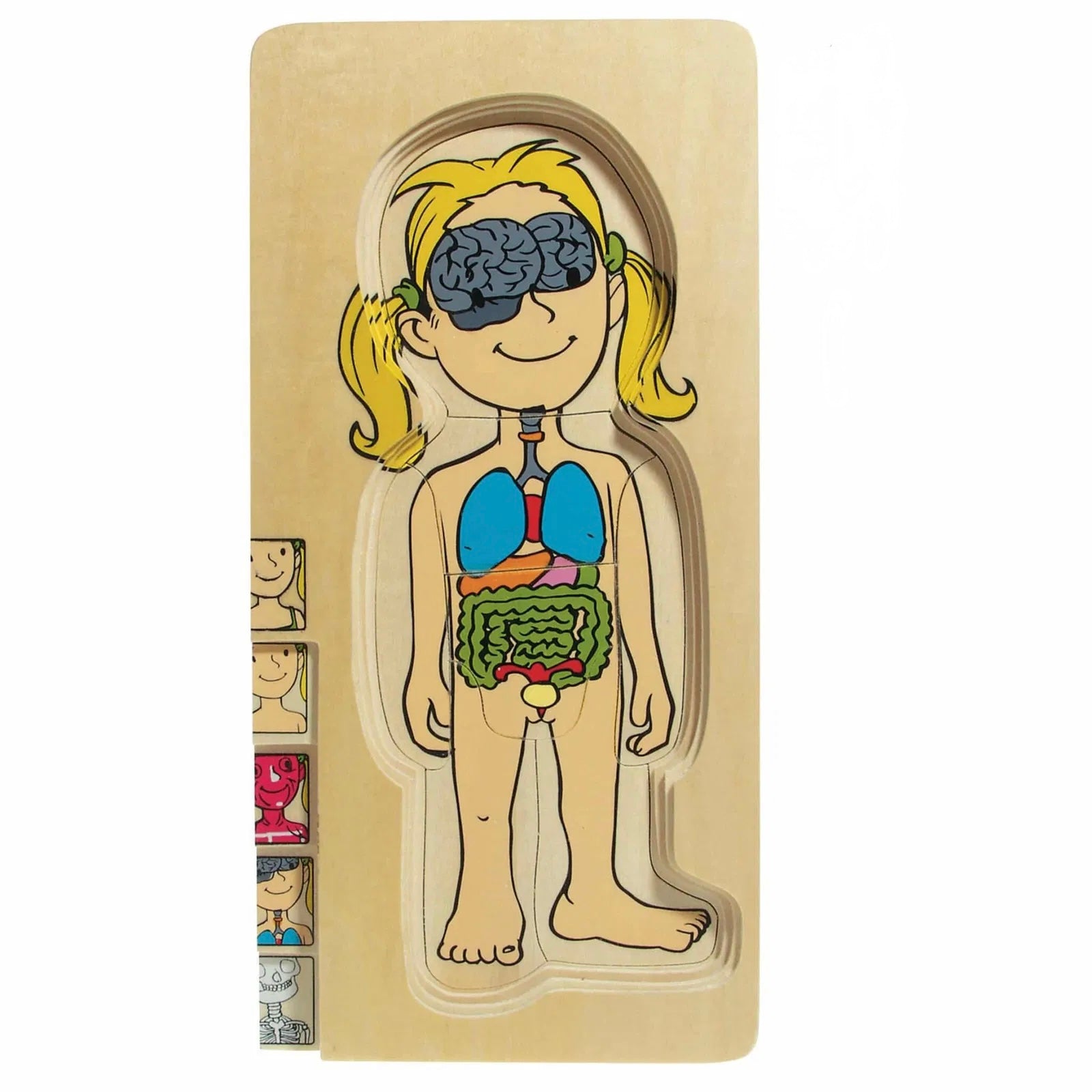 Multi Puzzle Anatomico - Femmina