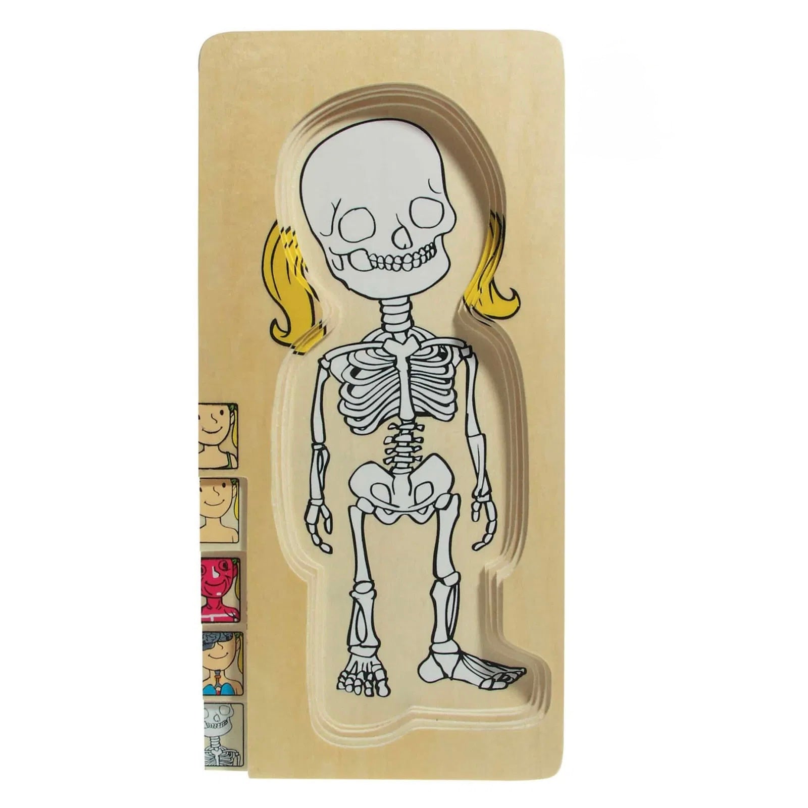 Multi Puzzle Anatomico - Femmina