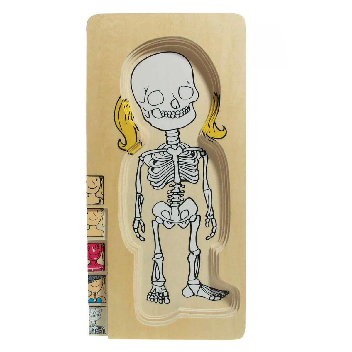 Multi Puzzle Anatomico - Femmina