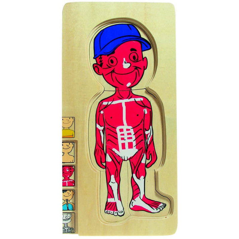 Multi Puzzle Anatomico - Maschio