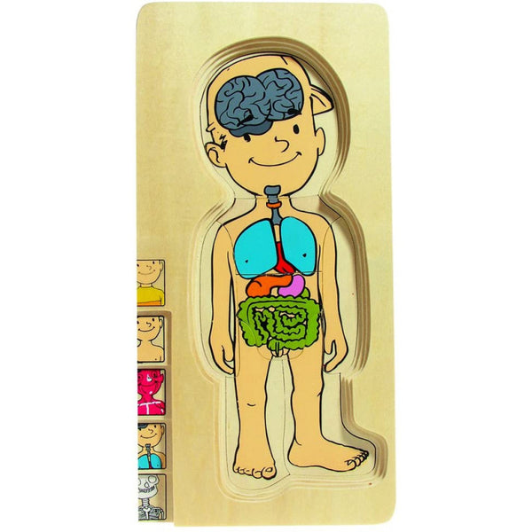 Multi Puzzle Anatomico - Maschio
