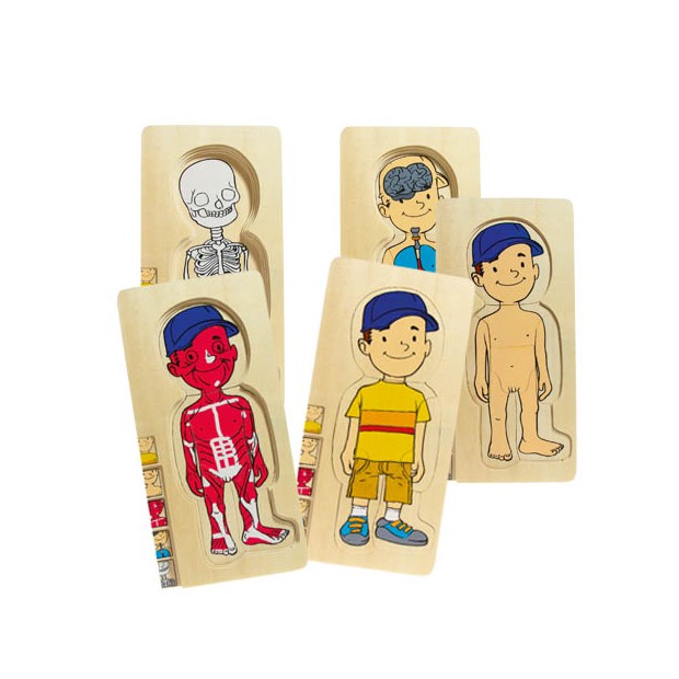 Multi Puzzle Anatomico - Maschio