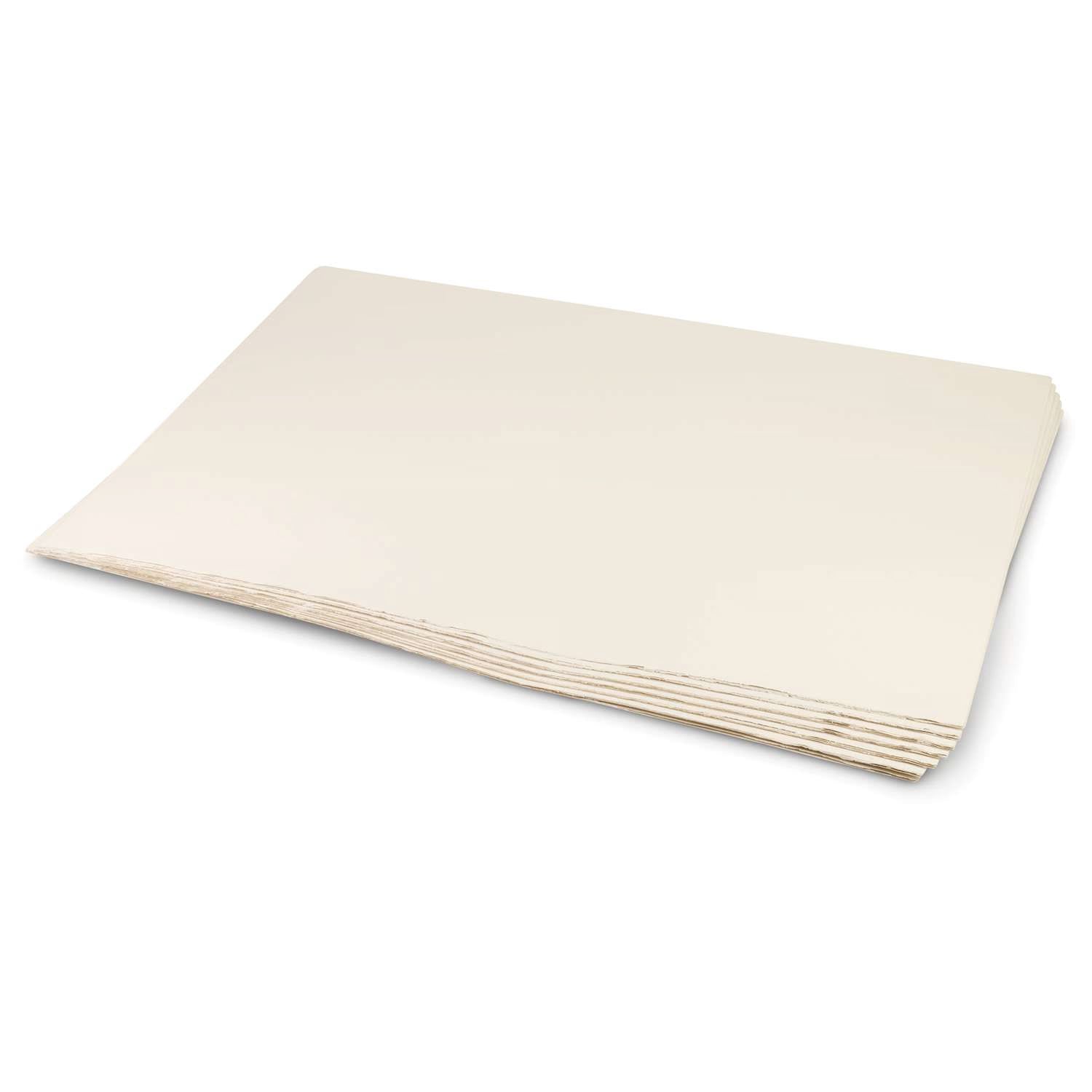 CARTONCINO ROSASPINA BIANCO CM.50X70"