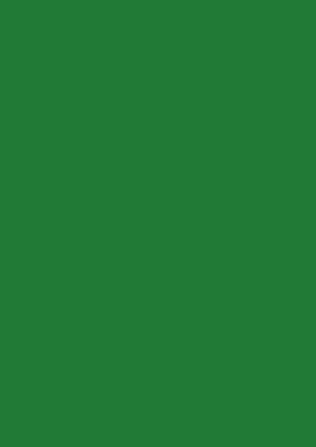 TEKNITAK - CONF.10 FOGLI CM.21X29,7 - VERDE MEDIO