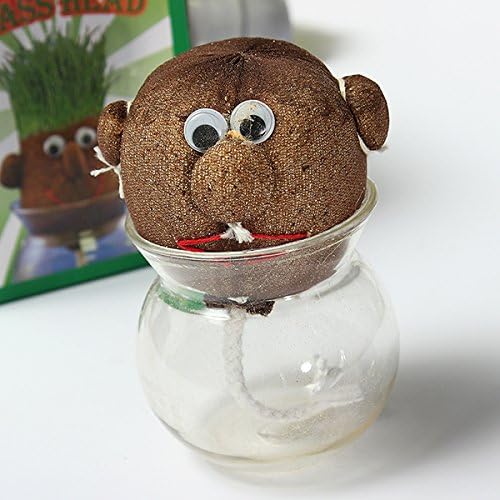Testoline Della Natura - Set 8 Pezzi Senza Vasetti