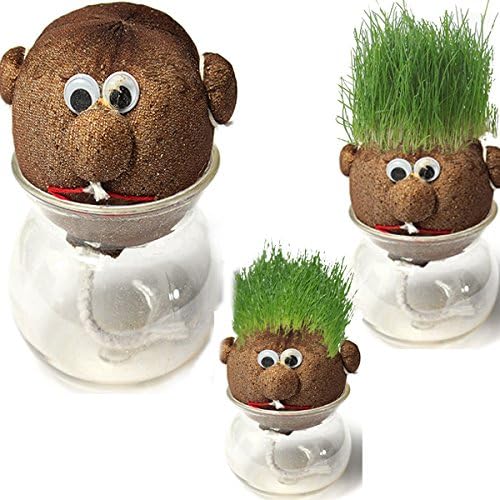 Testoline Della Natura - Set 8 Pezzi Senza Vasetti