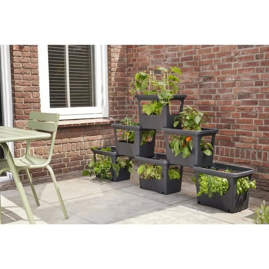 Vaso Impilabile Per Colture Cm .50X35X36 H
