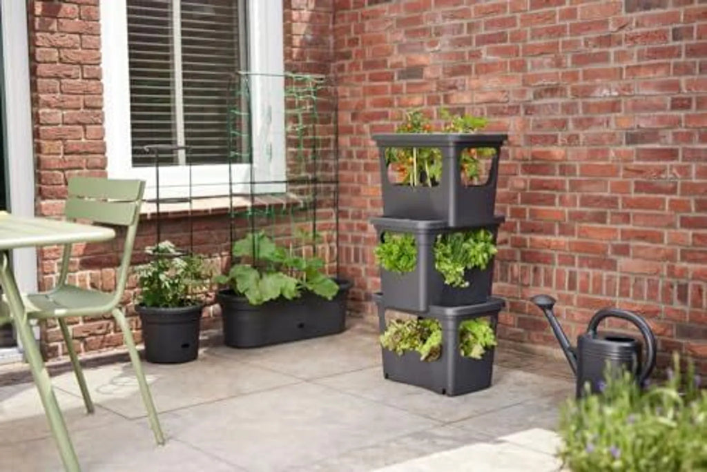 Vaso Impilabile Per Colture Cm .50X35X36 H