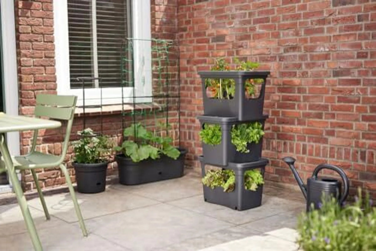Vaso Impilabile Per Colture Cm .50X35X36 H