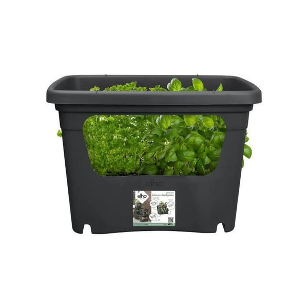 Vaso Impilabile Per Colture Cm .50X35X36 H