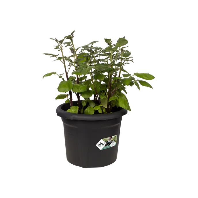 Vaso Estraibile - Potato Pot Diametro 33 Cm