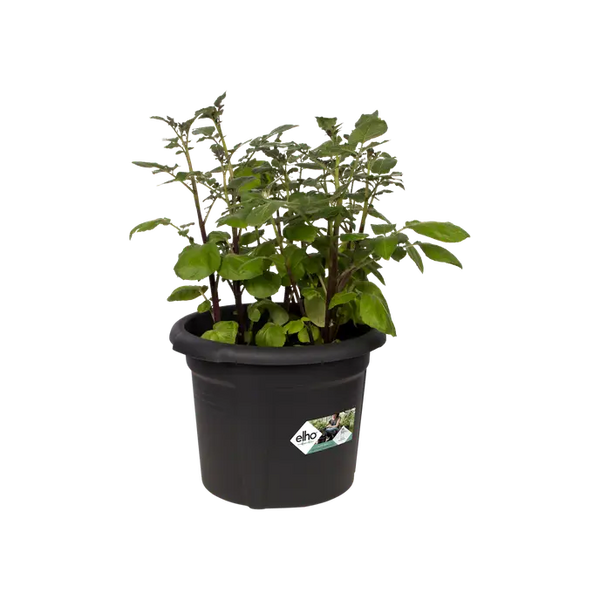 Vaso Estraibile - Potato Pot Diametro 33 Cm
