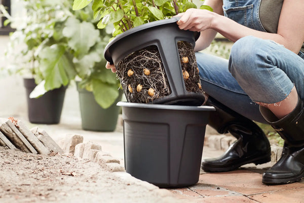Vaso Estraibile - Potato Pot Diametro 33 Cm