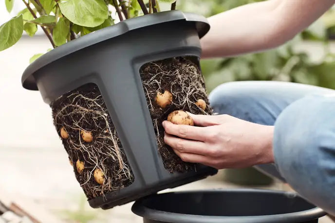 Vaso Estraibile - Potato Pot Diametro 33 Cm