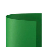 CARTONCINO GR. 200 50X70 VERDE