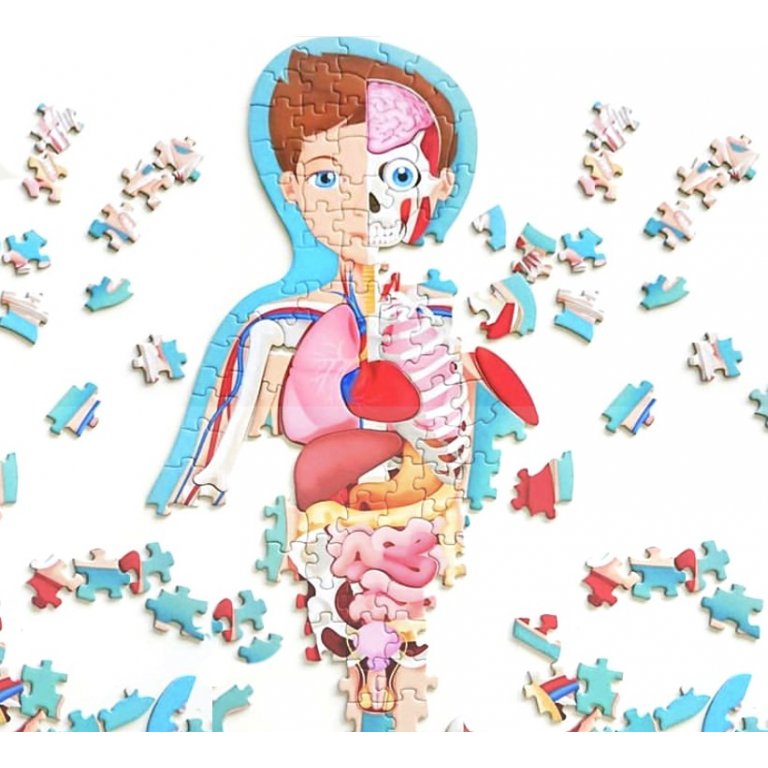 Viaggia, Conosci, Esplora - Il Corpo Umano