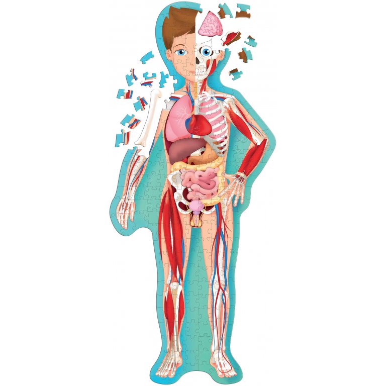 Viaggia, Conosci, Esplora - Il Corpo Umano
