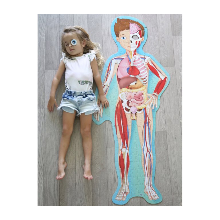 Viaggia, Conosci, Esplora - Il Corpo Umano