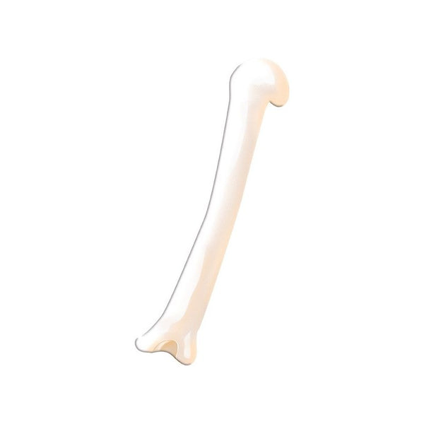 Viaggia, Conosci, Esplora - Il Corpo Umano