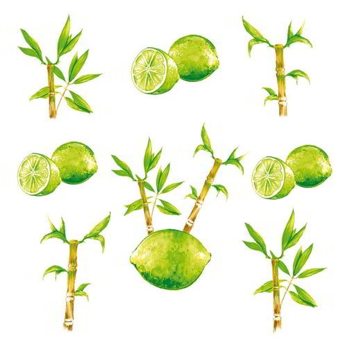 TOVAGLIOLI DISPENSER 50 PZ. - LIMONI
