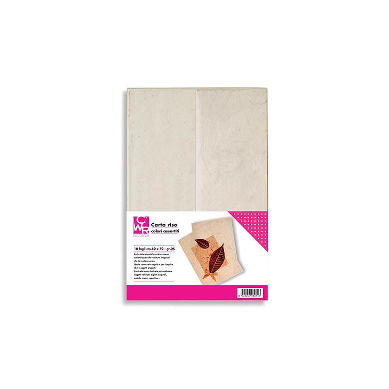 CARTA RISO GR.25 BUSTA FG.10 CM.70x100 - COL. ASS.