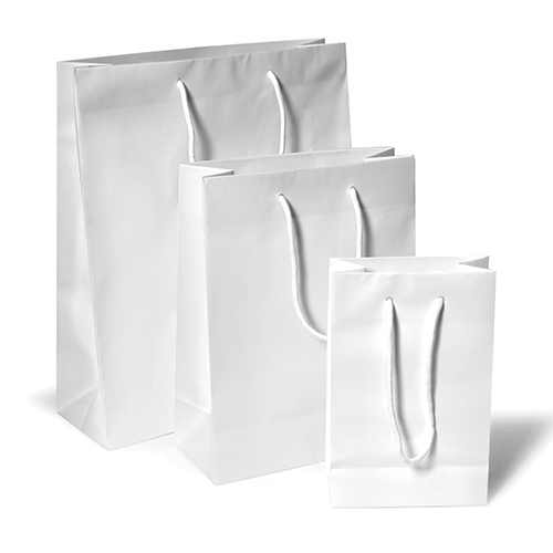 SACCHETTO BIANCO PLASTIF.LUCIDO CM. 25+11X31 - PZ. 25