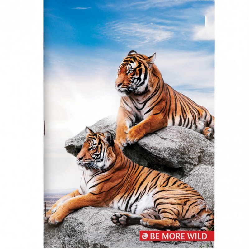 RACCOGLITORE 4 ANELLI A4 WILD DIAM. 30 TIGRE