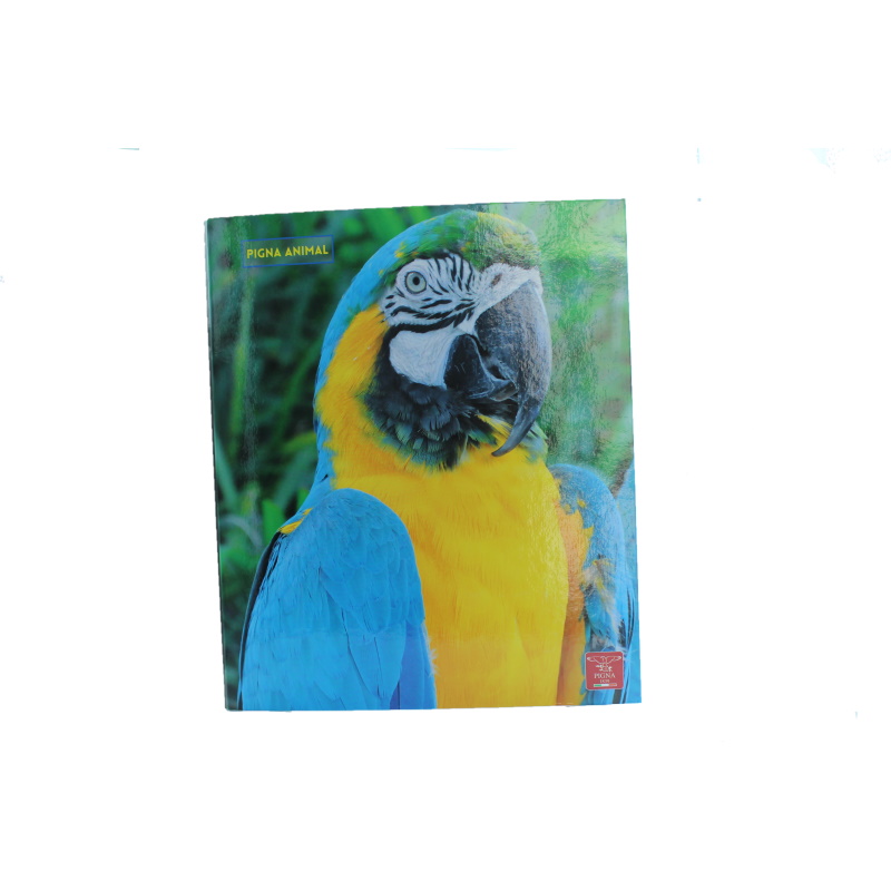 CARTELLA 4 ANELLI 26X32 Ø 30 PAPPAGALLO