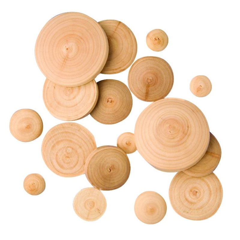 DISCI BOMBATI DI LEGNO PZ. 100 DIAM.30MM