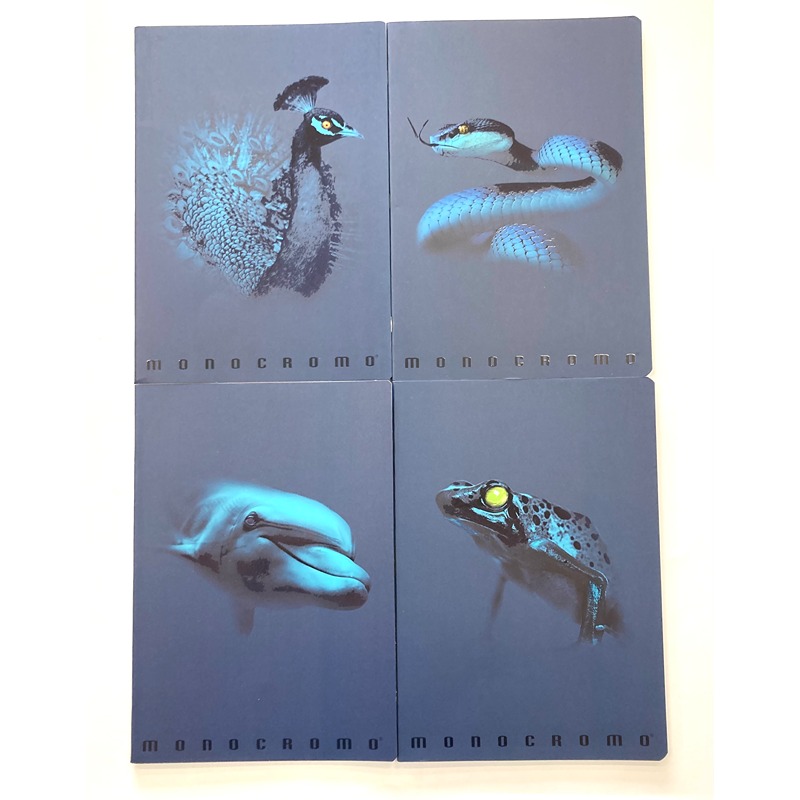 QUADERNO MAXI MONOCROMO BLUE 100GR. 38FG 4MM