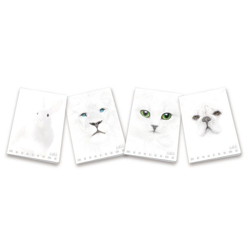 QUADERNO MAXI MONOCROMO WHITE 100GR. 38FG  5MM