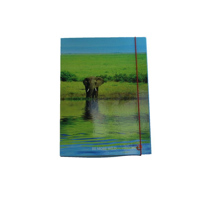 CARTELLA TRE LEMBI CON ELASTICO DORSO 1,2 BM ELEFANTE