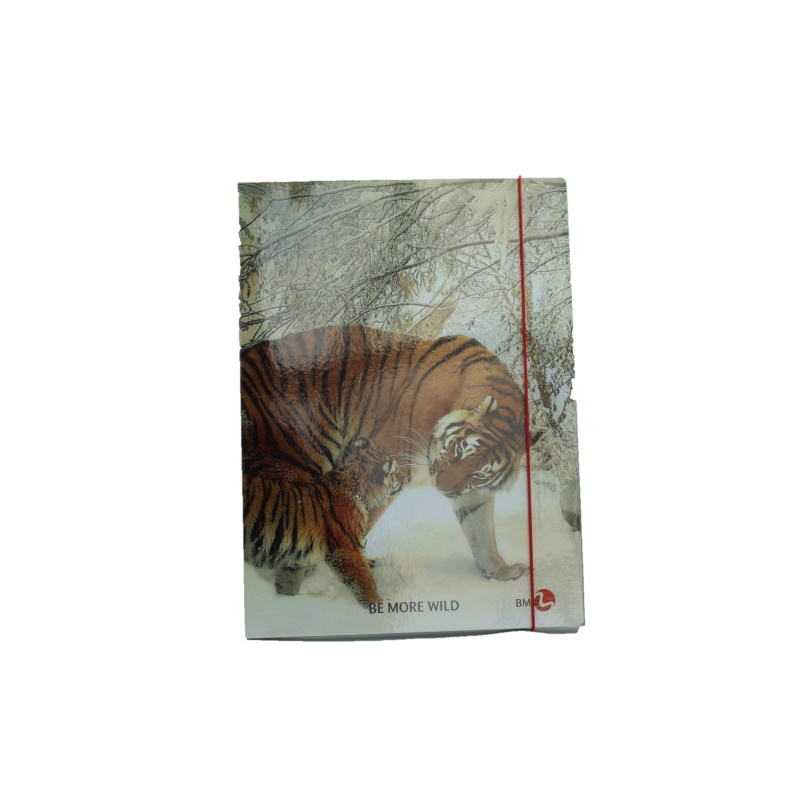 CARTELLA TRE LEMBI CON ELASTICO DORSO 1,2 BM TIGRE