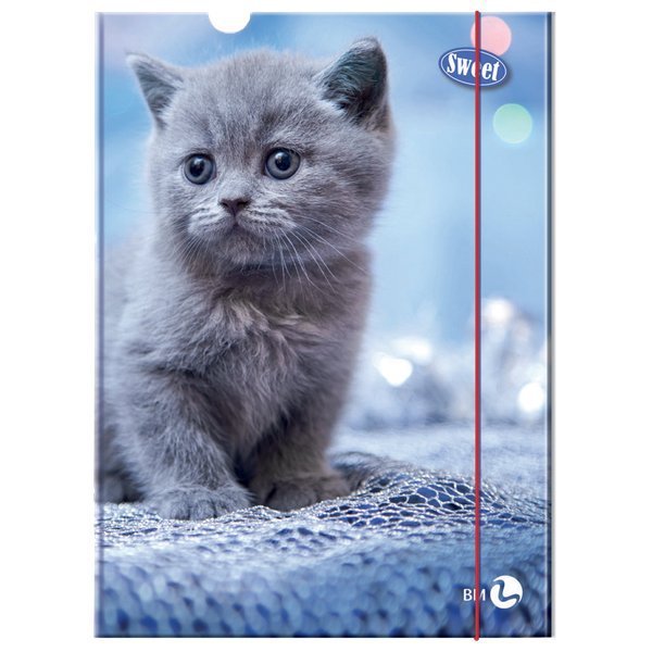 CARTELLA TRE LEMBI CON ELASTICO DORSO 1,2 SWEET GATTINO BM