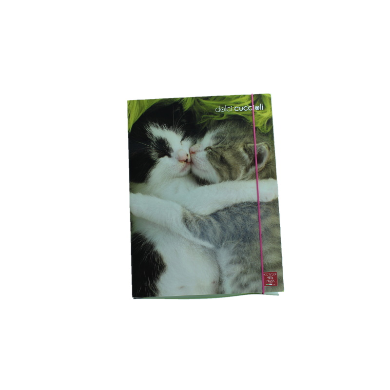 CARTELLA TRE LEMBI CON ELASTICO DORSO 1,2 MONOCROMO GATTINI