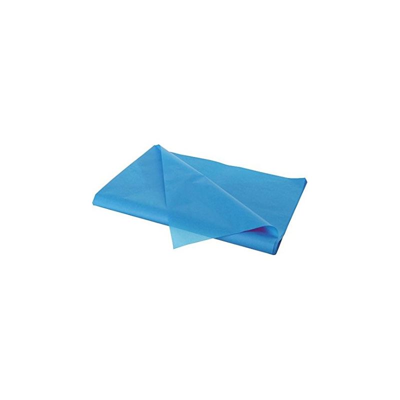 CARTA VELINA FG. 24 50X76 AZZURRO