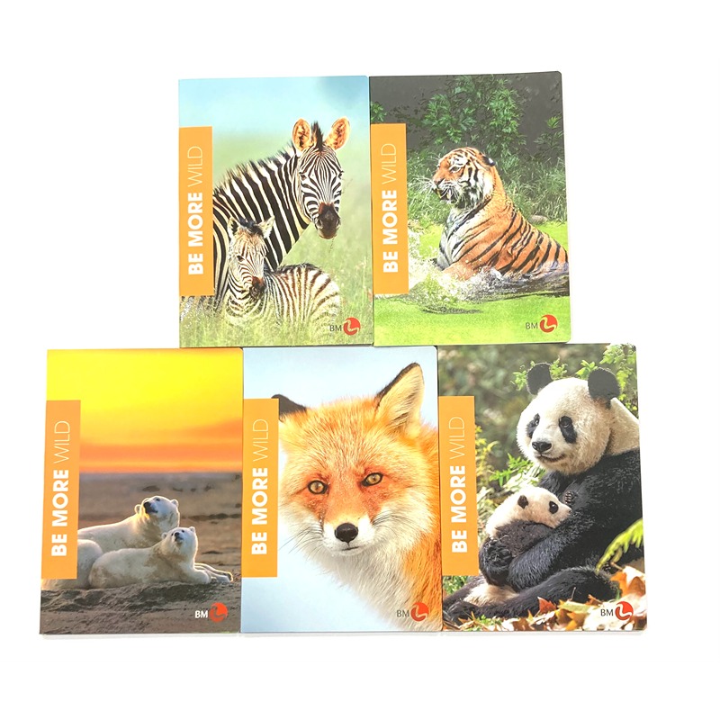 QUADERNO MAXI WILD 100GR. 72FG RIGA DI 3 ELEM.