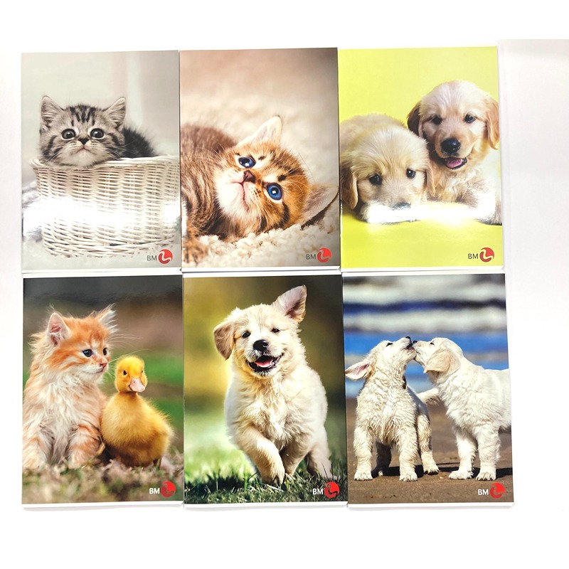 QUADERNO MAXI CUTE 80GR. RIGA 1/2 ELEMENTARE