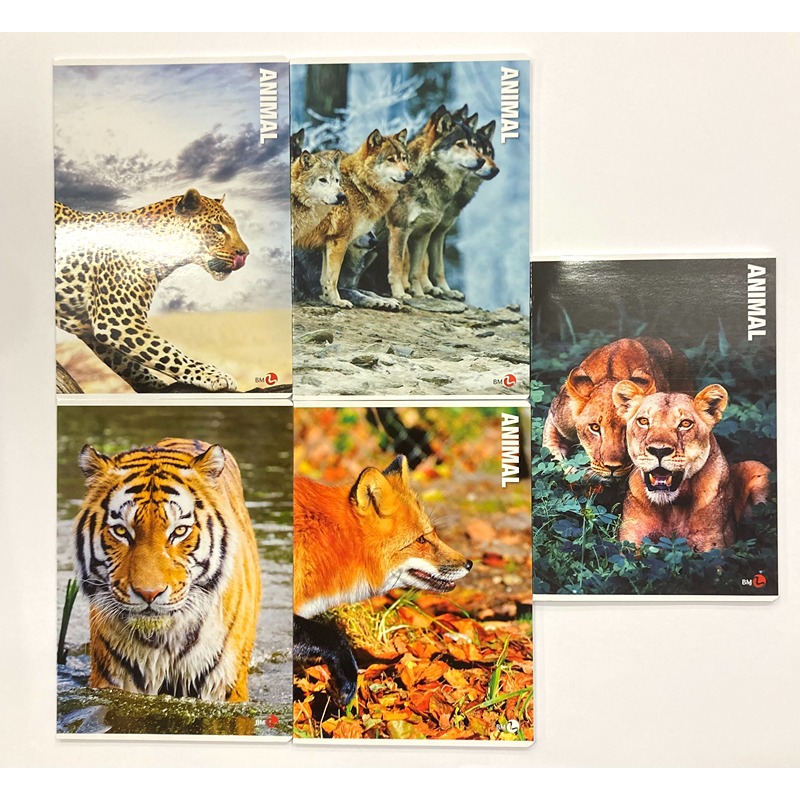 QUADERNO MAXI ANIMAL 80GR. 4MM