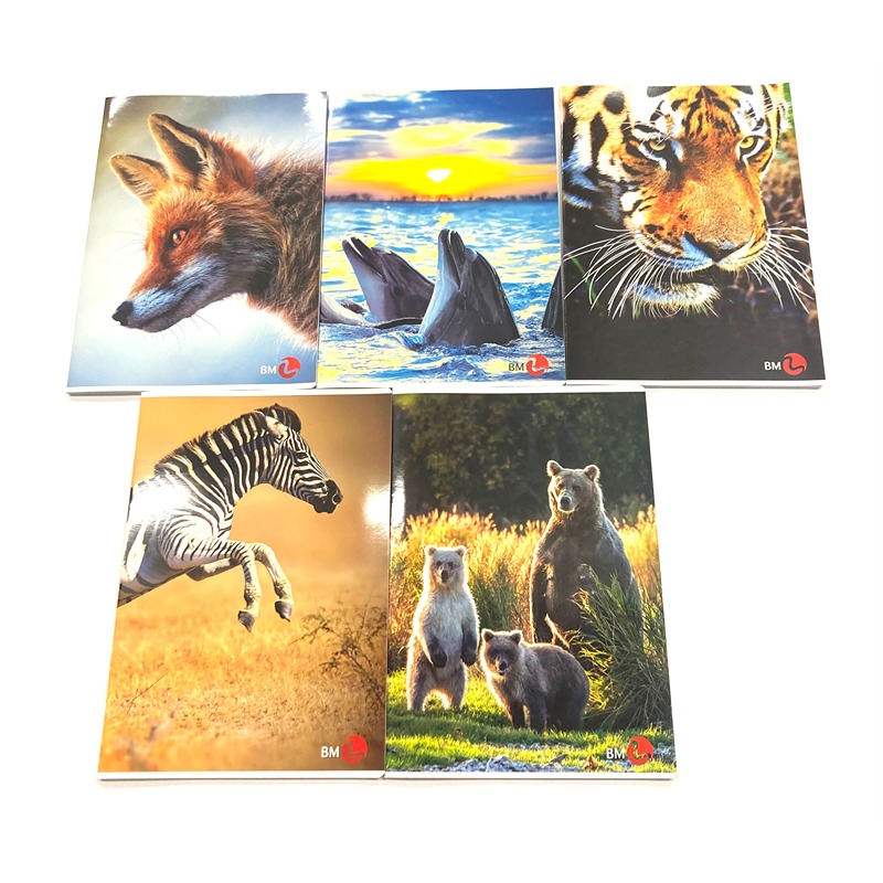 QUADERNO MAXI ANIMALI 80GR. 5MM CON MARGINE /10