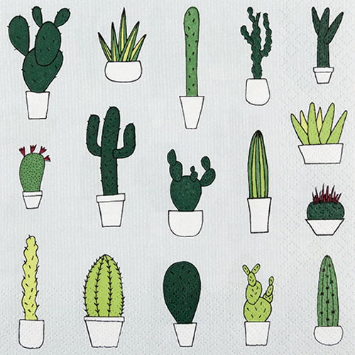 TOVAGLIOLI CM.33X33 - CONF.20 PEZZI CACTUS